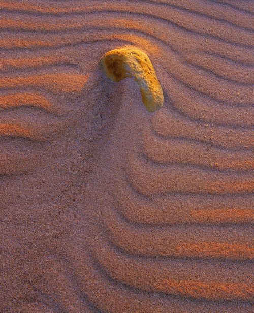 Dune Ripple